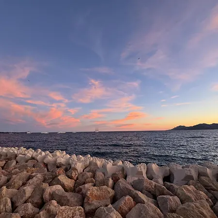 Beautiful 1 - Br - Next To Rue Antibes * Cannes