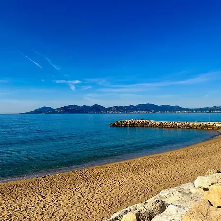 Beautiful 1 - Br - Next To Rue Antibes * Cannes